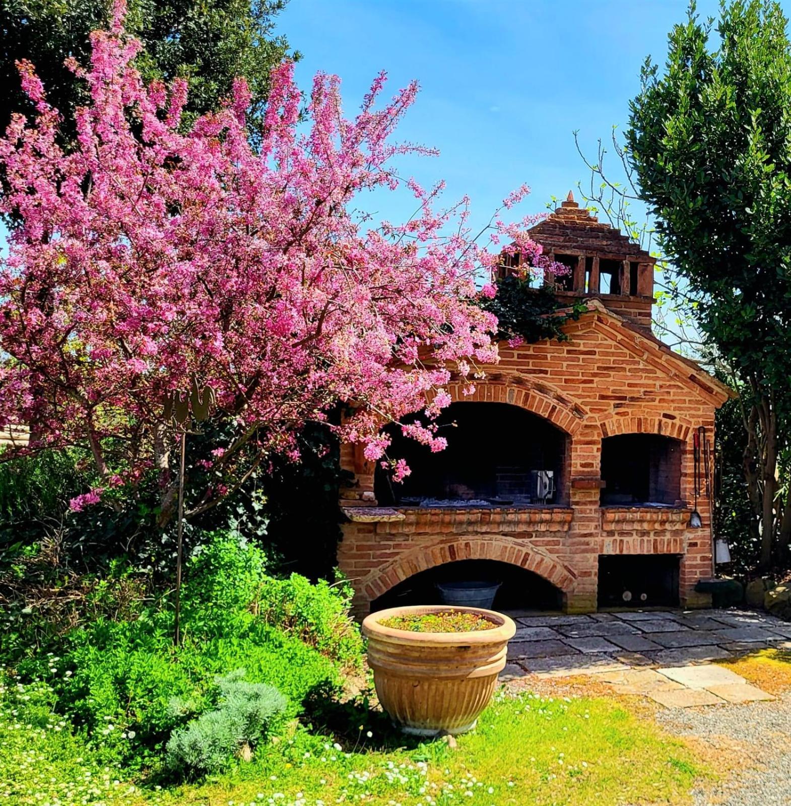 Podere Cunina Buonconvento Exterior foto